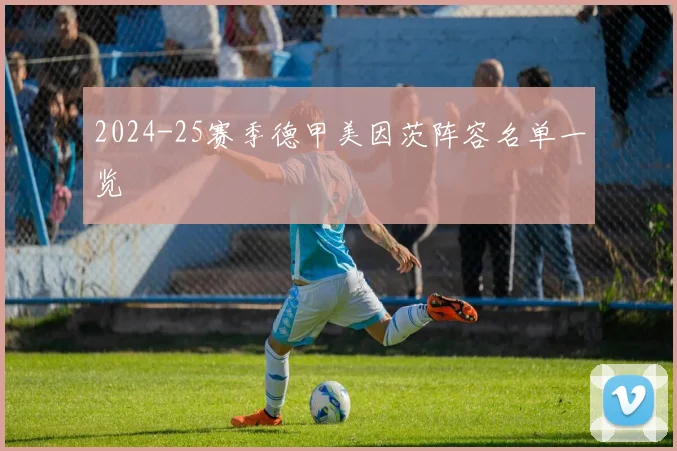 2024-25赛季德甲美因茨阵容名单一览