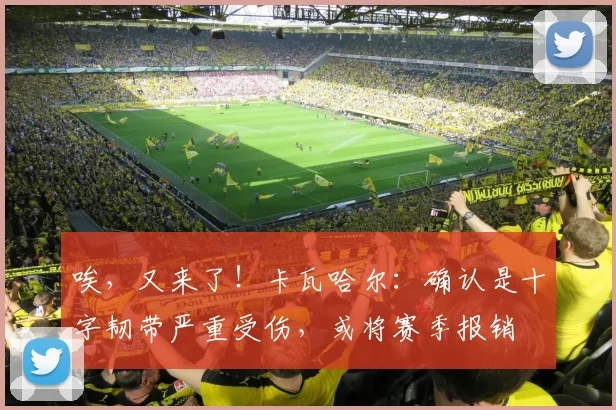 唉，又来了！卡瓦哈尔：确认是十字韧带严重受伤，或将赛季报销